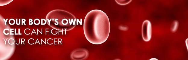 Red Blood Cell